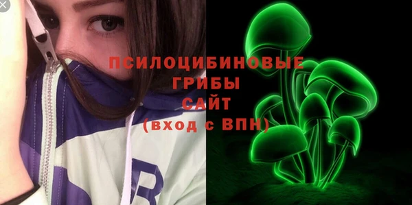 прущий лед Касимов