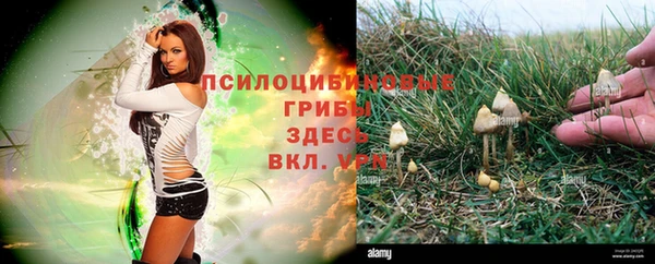 прущая мука Каменка