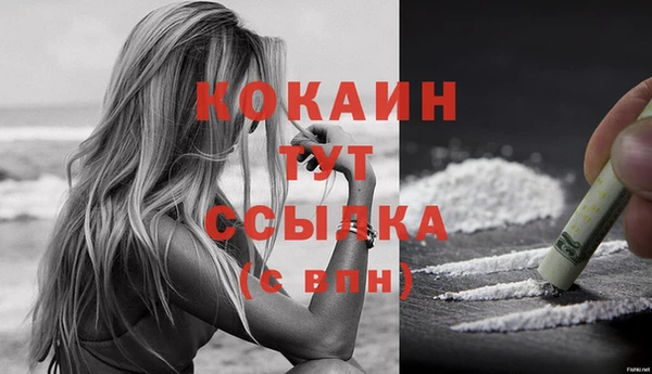 ГАЛЛЮЦИНОГЕННЫЕ ГРИБЫ Карталы