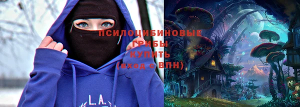 не бодяженный Каменногорск
