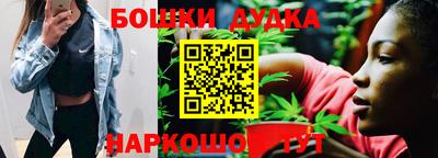 гидра Нарткала