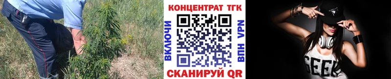 ТГК Wax  Сорочинск 