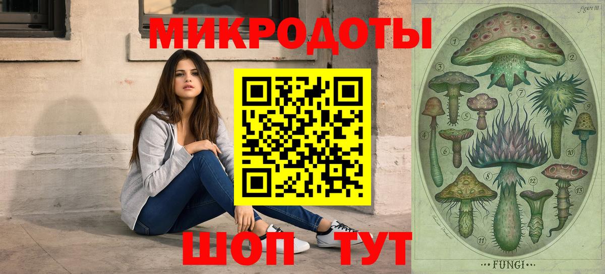 Сорочинск  Псилоцибиновые грибы Psilocybine cubensis  Вход с VPN 