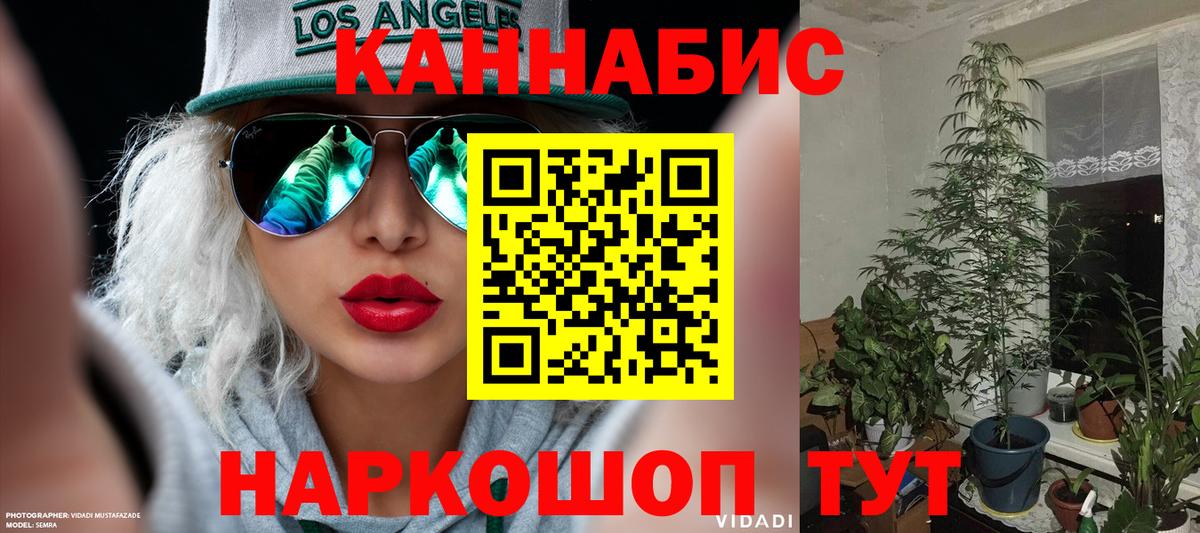 Бошки марихуана Amnesia  Шишки марихуана индика  Сорочинск  Бошки марихуана гибрид  Вход с VPN  Каннабис LSD WEED 